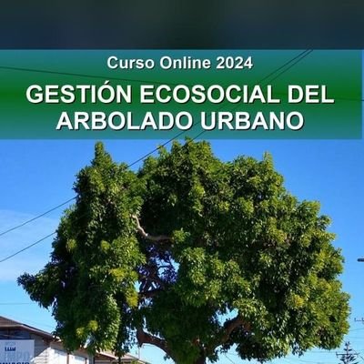 Santiago JM Del Pozo Donoso: Capacitación en Gestión de Arbolado Urbano: cursos online y presenciales. Estudios y Censos de Arbolado Urbano.
Gestión de 🌳🌴🌲