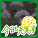 えりこまり