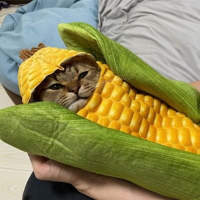 meowStryker's profile picture. PUSH stress
POP motivation