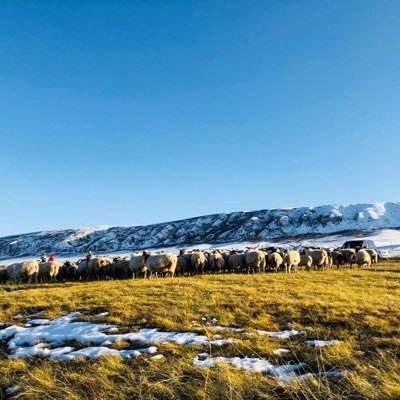 Jer0701's profile picture. 