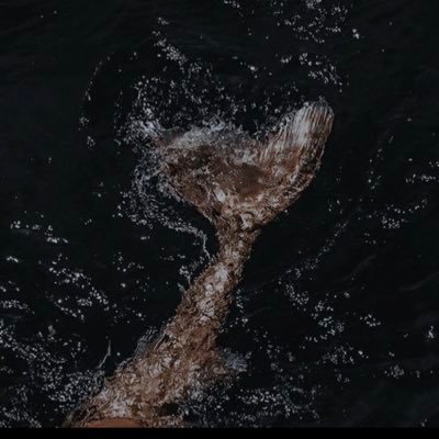 EleenAli688292's profile picture. 𝔍𝔞𝔨𝔢…….𝔜𝔬𝔲 𝔞𝔯𝔢 𝔪𝔶 𝔰𝔲𝔫𝔰𝔥𝔦𝔫