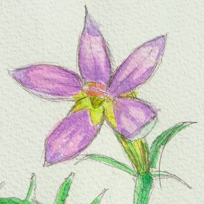 Isotoma_227's profile picture. 
