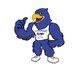 KMHS Track & Field (@kmhsxctf) Twitter profile photo KMHS Track & Field (@kmhsxctf) Twitter profile photo