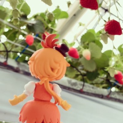 mueno283's profile picture. 成人済。お取引用アカウントです。 ツイフィールのご一読よろしくお願いします。プリキュア垢(@fuwamosya_pri)