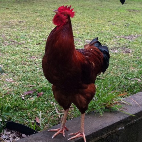 carperson78's profile picture. 