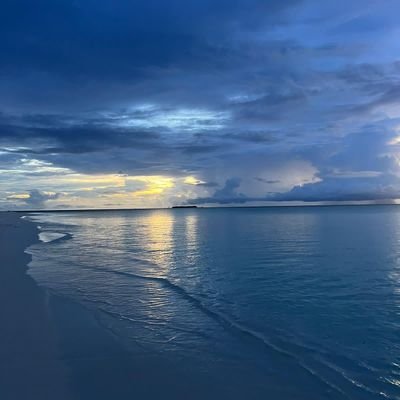 MohamedWit33d's profile picture. 