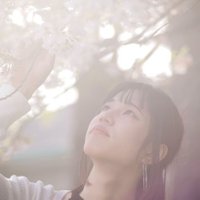 Makoto(@Makoto_1104X) 's Twitter Profile Photo