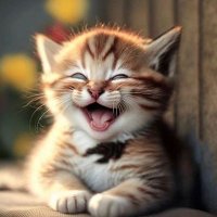 DEMOKRASI SEKARAT..! (@mulyadi2028) 's Twitter Profile