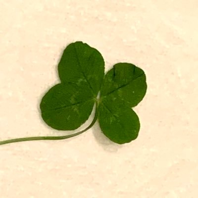 john20120614's profile picture. 🍀今の目標は気象予報士(60、61、62、63、64回一般×専門○)🍀 熊本移住検討中。鞠智城が好き。ご当地キャラクターやマスコットが好き。LOVOTお迎え希望…. 看護師 防災士 MBA MFA