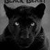Black Beast (@beast54955) Twitter profile photo