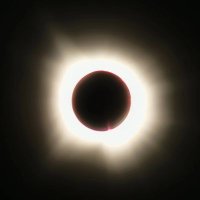 Mary Ann Bell (@_nothinghatesu) 's Twitter Profile