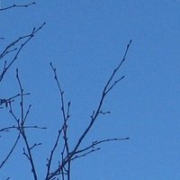 🌊Nova (@nova_sbossa) 's Twitter Profile