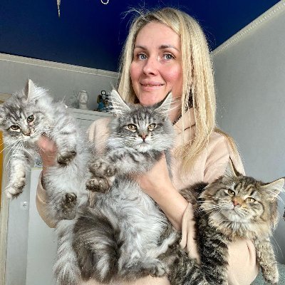 ❤️Follow us for daily dose of mainecoon❤️
⚠️Tag Us Or use The hashtag #SarahLeonhardt
Follow👉 Turn On Post Notifications