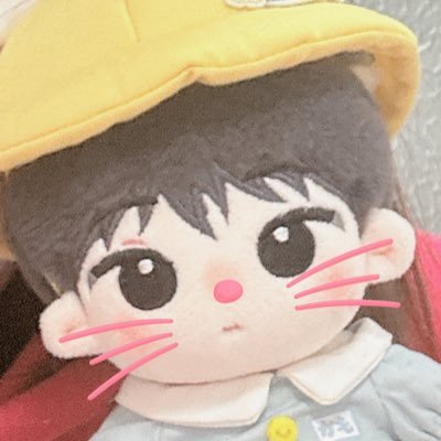 SEVENTEEN WONWOO💎원우😼wonwoo doll/G.O dm plz🧡Chinese、JapaneseOK，English I used translator/港澳台代购不用获得我的许可开团，想代购直接私信就好🫡