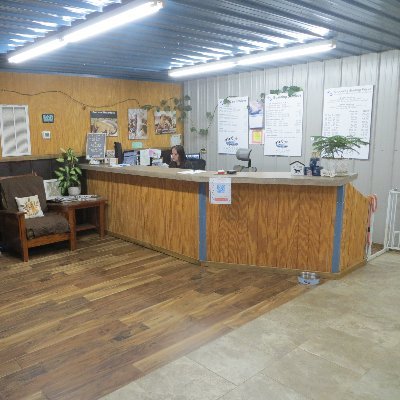 Kadillac Kennels offers quality daycare, boarding, and grooming for all dogs.