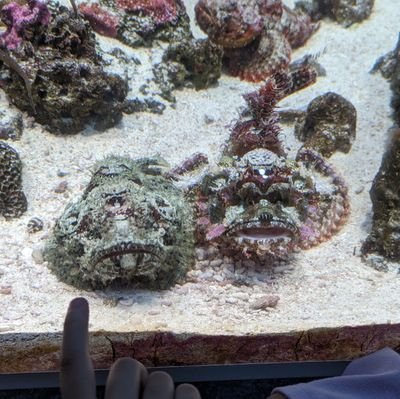 29p3FzOiJ2meuHa's profile picture. 