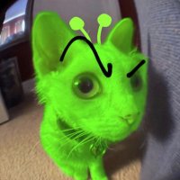 Cursed.Bat(@TransBatThomas1) 's Twitter Profile Photo