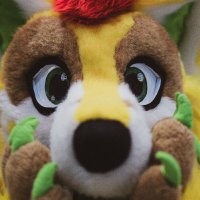 Flavius the Doggo (Fepu) (@flaviusfepu) 's Twitter Profile