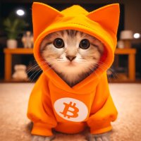 $CAT on BTC ᛤ(@CATonBTC) 's Twitter Profile Photo