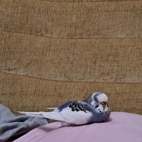 Ömer (@est_omer19) 's Twitter Profile