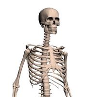 Glenn Quagmire's Skeleton(@GlennQuagm1re) 's Twitter Profileg