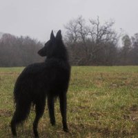 RETARDED (@odftx) 's Twitter Profile