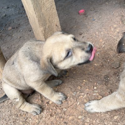 rubysunflower21's profile picture. 