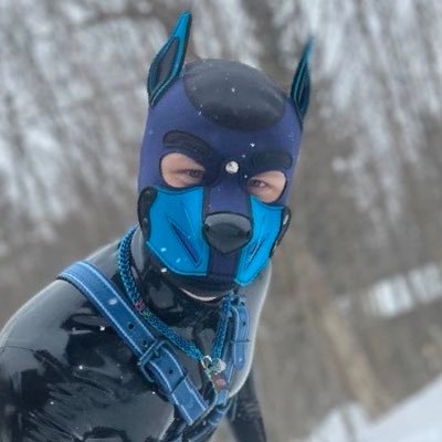 Sex dog in Boston, MA. | 22 | Almost dommy, always subby | Musician and kinkster 🔞 Minors DNI. | he/him | @PupDet 💙 | Δ for @PupSirius |