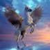 nitesh (@nitesh1550056) Twitter profile photo