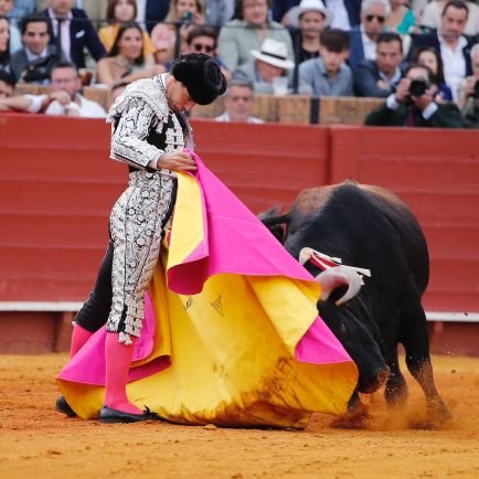 Aficionado al mundo del toro

Enamorado del toreo de verdad ,simples detalles llenan la tauromaquia de vida.