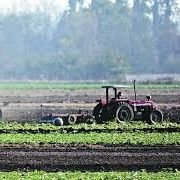 🌾🌱 Zona Kariña de la Mesa de Guanipa.
ANZOÁTEGUI PRODUCE.
RENACER AGRÍCOLA DE UN PAÍS.