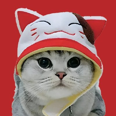 你好! Fortune Cat here to bring good fortune to Solana. 😺
Get $FAT 

 🧧 CN: https://t.co/9VKuX97bvo
EN: https://t.co/BRBtY1DNFN