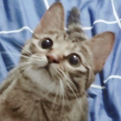 パーメン🍜さんのプロフィール画像