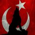 Türk (@turanturkurt) Twitter profile photo