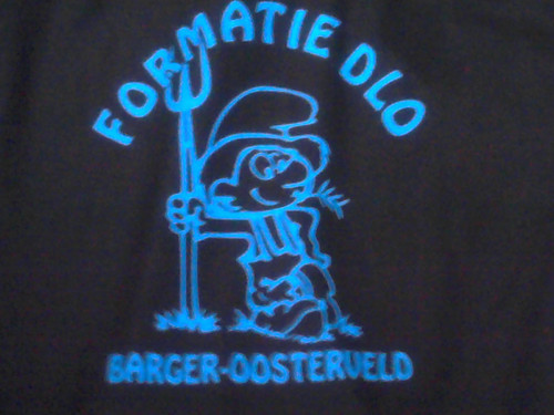 Dom, Lomp en Onbenullig // carnaval // barger-oosterveld // etherpiraten