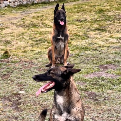 pascal_mat35299's profile picture. “On mesure l’intelligence d’un individu à la quantité d’incertitudes qu’il est capable de supporter.” Emmanuel Kant