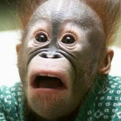 chrisr642019's profile picture. 