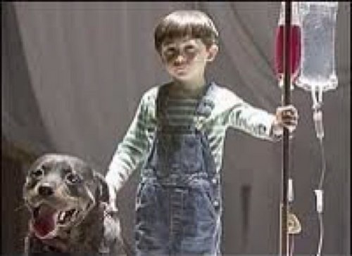 deemein's profile picture. 