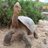 quiensabia's profile image