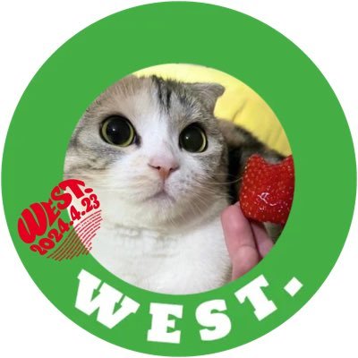 7ShF4YgBLtw9pzJ's profile picture. 熟したアイドNEWSしか勝たんラマーズ。かなり暑苦しくて胸焼けする熱血アイドルの自称酒豪が大好きなジャス民。🐈‍⬛と🍺と🍰と🇦🇹とクラシックが大好き💕愛猫5匹の下僕。 無銭オタとアンリー、副業垢はお断り〜