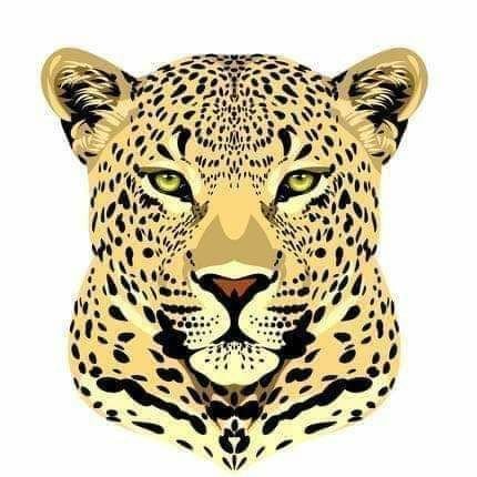 rexcardinal's profile picture. l listen. I learn.