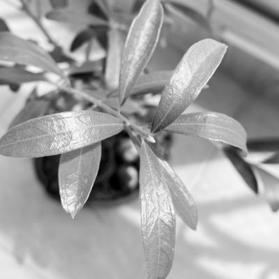 HEY_AEN's profile picture. 세상에...