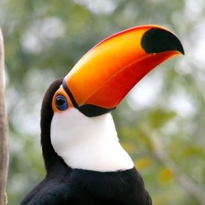 MrSpoler421's profile picture. челик спокойный, вайбовый

Семейное положение - Занят