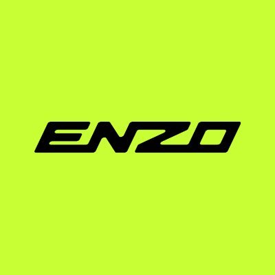 EnzoRacingGame Profile Picture