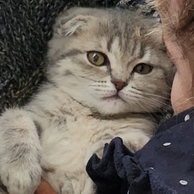 LinuxcuOS's profile picture. Emekli,Lise Mezunu, Amator LinuxOS kullanıcısı