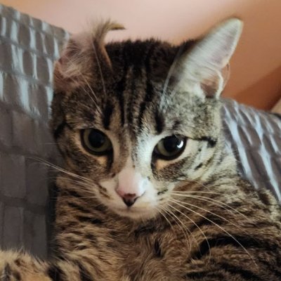 s_aha_crates's profile picture. 