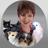 Jacqueline Pansy / Author Illustrator Narrator(@PansyJacqueline) 's Twitter Profile Photo