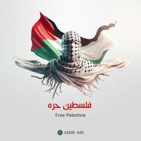 Ahmed Soliman |𓂆 (@ahmed__soliman_) 's Twitter Profile