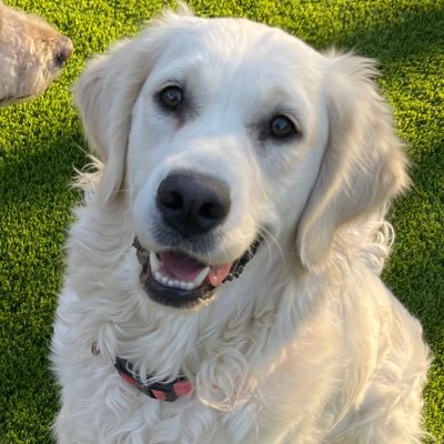 msCQchili's profile picture. bitcoin, Eth and 🌶️🌶️