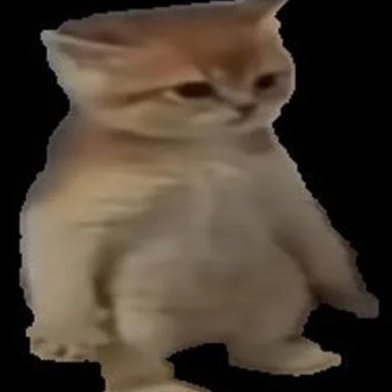 amigosjkjyb's profile picture. 